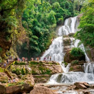 Selva Central – Chanchamayo & Oxapampa (2D/1N)