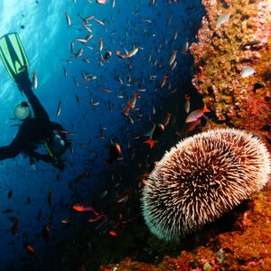 Islas Galápagos 4D/3N