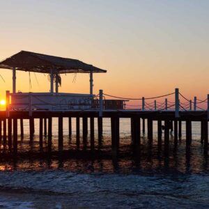 Piura – Máncora – Tumbes – Punta Sal – Nado con Tortugas & Avistamiento de Ballenas